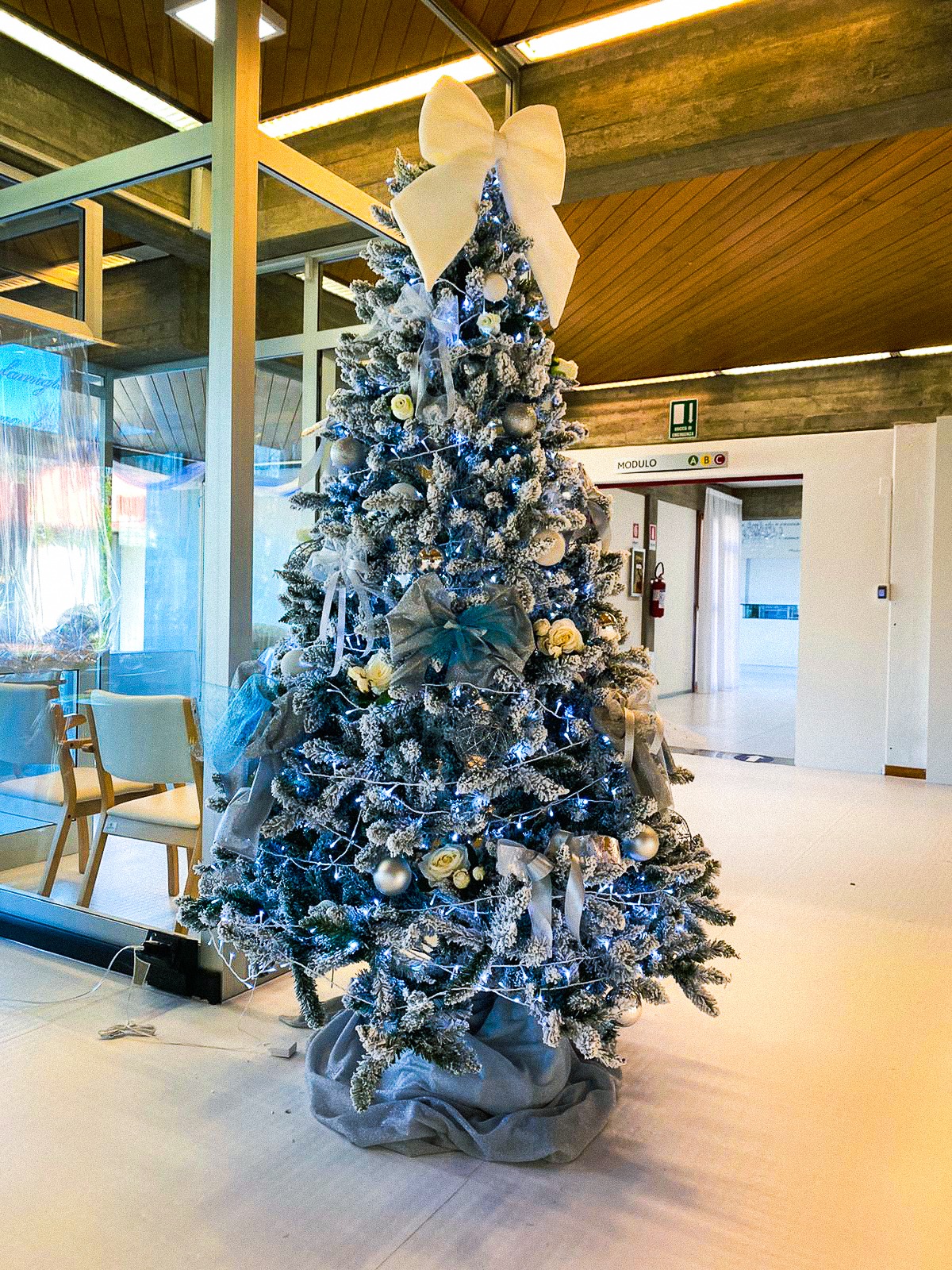Gli alberi di Natale alla Sartor