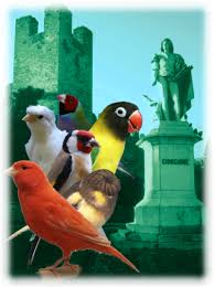 mostra_ornitologica