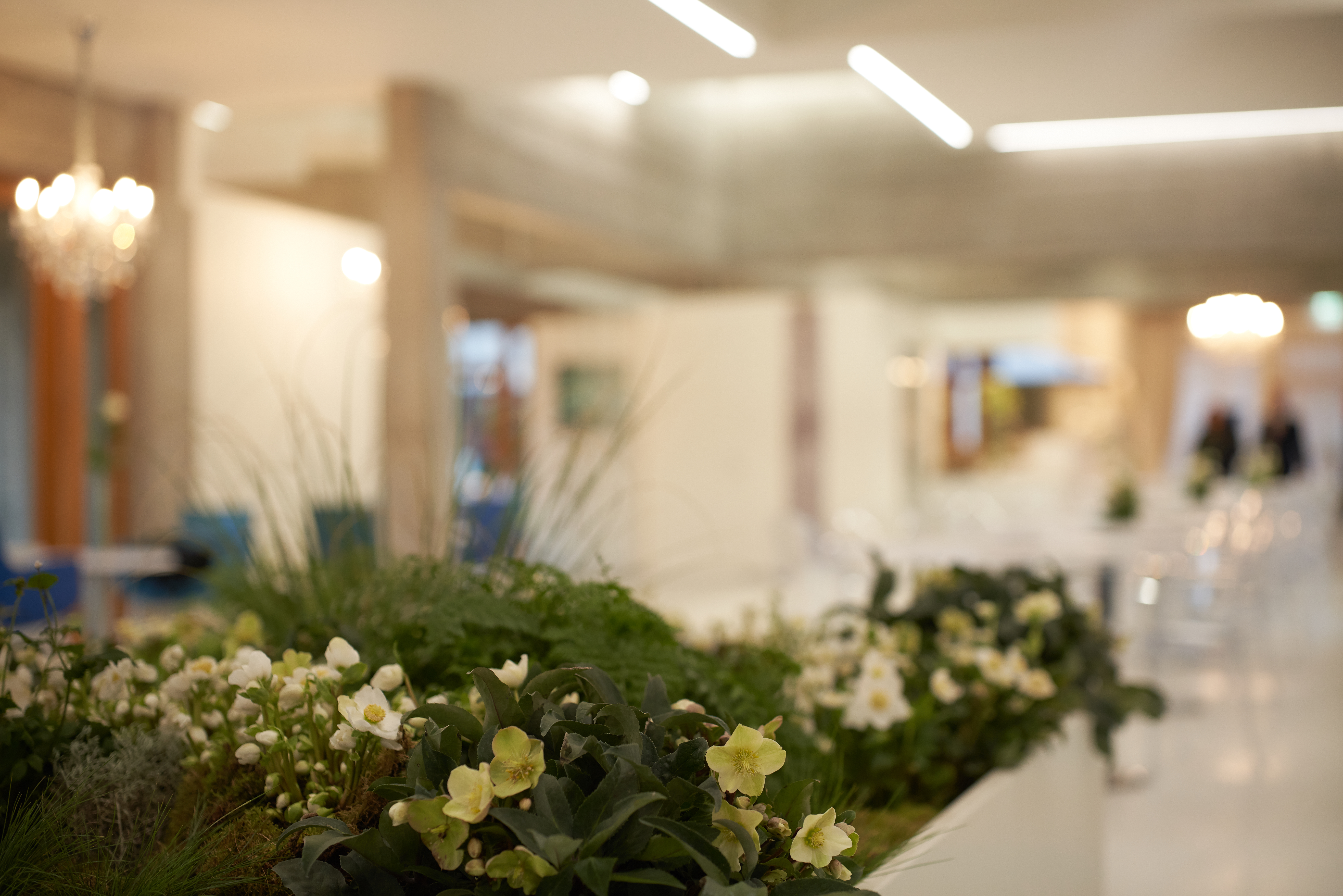 centro_sartor_ambienti_inagurati_013