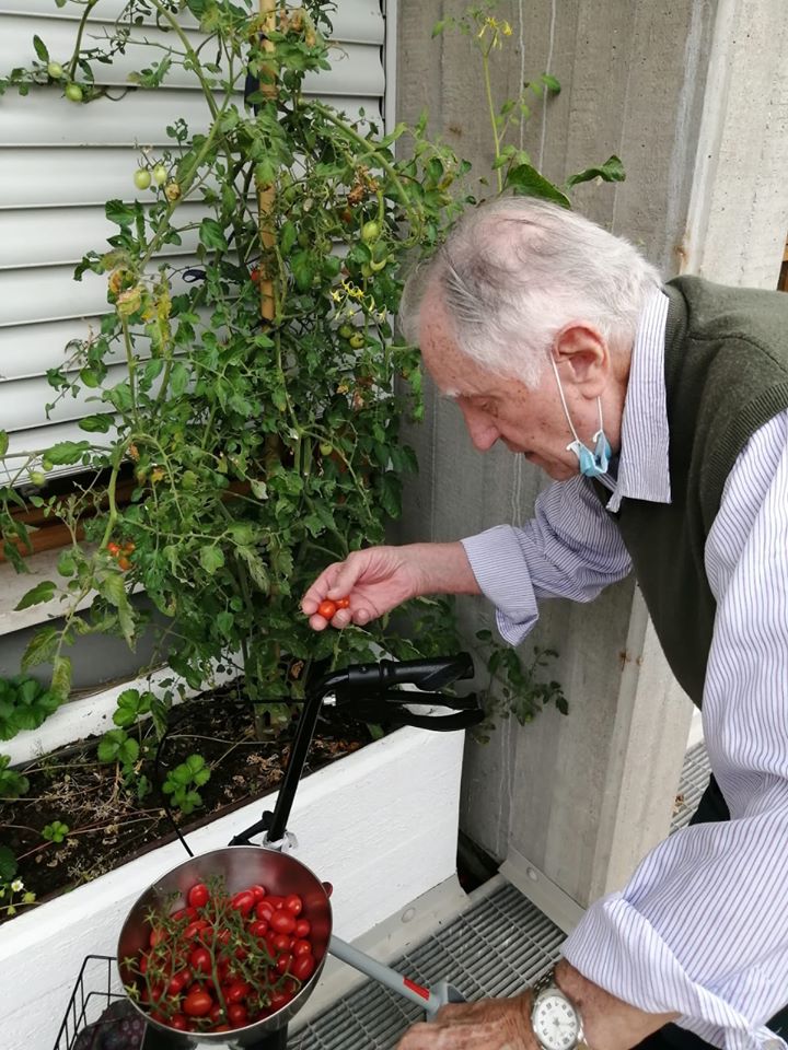 I tesori prelibati del nostro Giardino Sensoriale