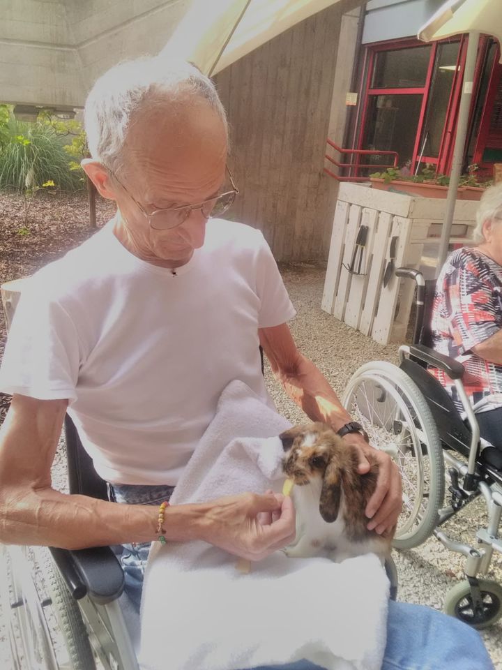 Serenità e benessere grazie alla pet therapy