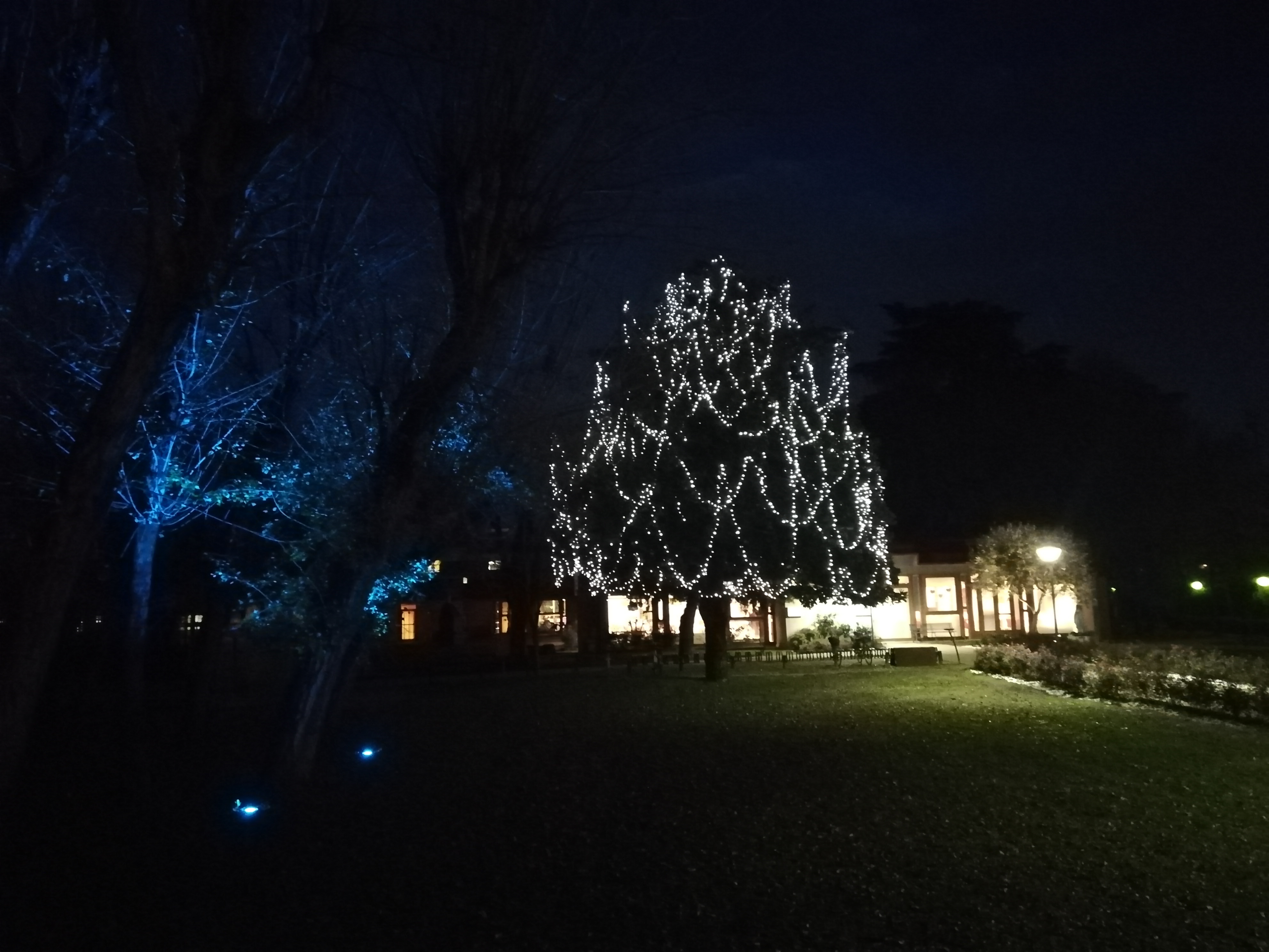 Aspettando il Natale  si accendono le luci